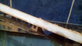 видео: установка ванны до или после плитки картинка: установка ванны до или после плитки