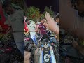 ফুল ট্যাংক তেল পেলাম আলহামদুলিল্লাহ।  #bikers #octenprice #fyp #petrol #octen #fulltank