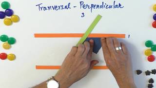 Transversal – Part 4 – Perpendicular Transversal