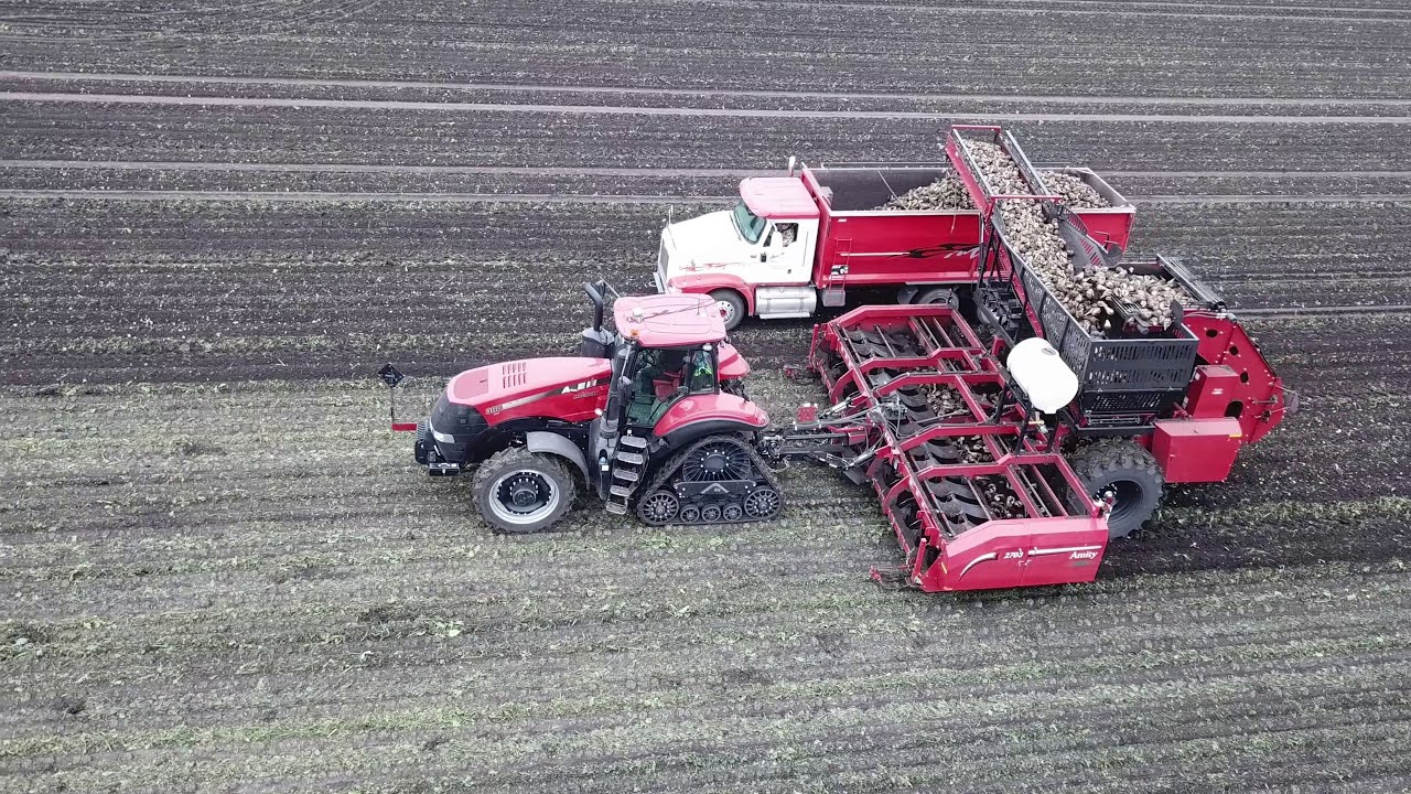 North Dakota Sugar Beet Harvest 2018 YouTube