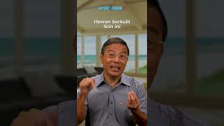 Download Lagu Khasiat IKAN BELUT..!!  #KhasiatBelut #ManfaatBelut #MakananSehat #HealthyFood MP3