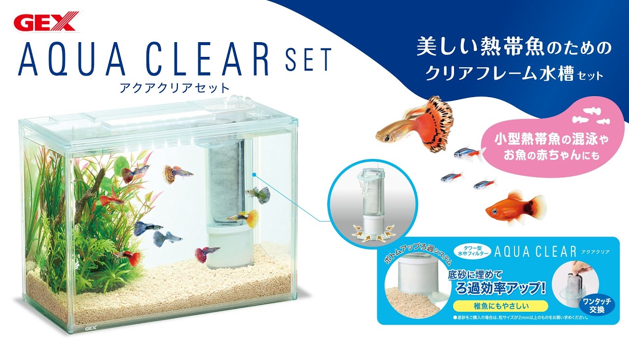 Aquarium set] Why not start living with tropical fish with this