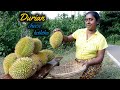 Durian cheese kotthu 🌟🍈&quot;  With delicious durian chicken   Devilled. .village kitchen recipe