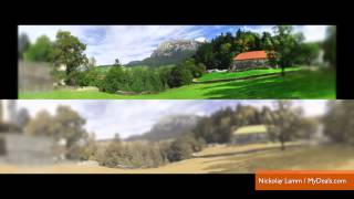 Amazing Photos Depict How Cats See The World