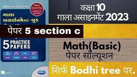 Paper 5 Solutions for Gala Assignment 2023 | Hindi Medium Maths Basic | Section V