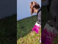 Вишня моя!!!