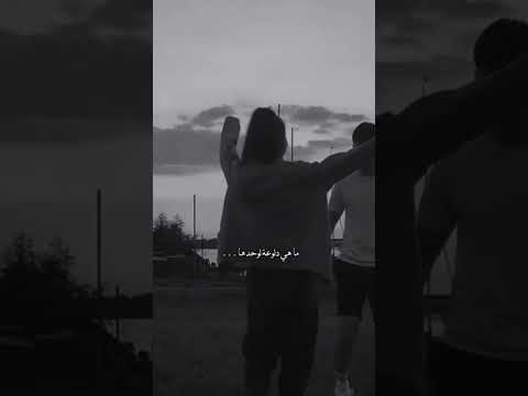 محمد حماقي الورد اتنقي بالوحده عشان خدها