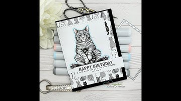 Masculine Birthday Card | Feline Funny | Unity Stamp Co.