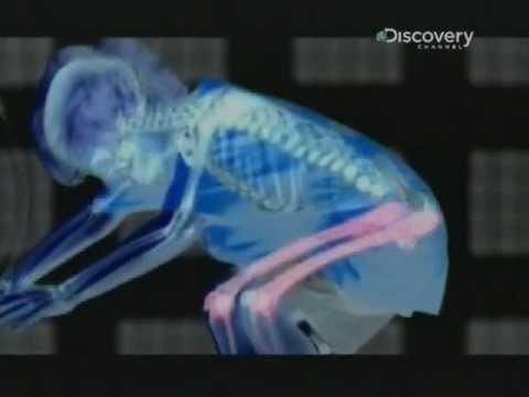 Video: Ce este factorul de împachetare atomică al unei structuri cristaline?