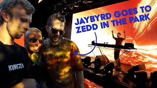 Download Stay The Night - Zedd Live Video MP3 Stay The Night - Zedd Live