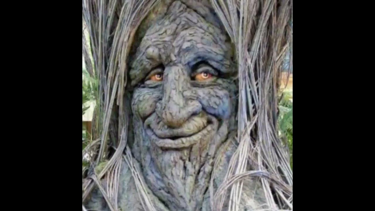 Wise Mystical Tree Face Old Mythical Oak Tree Funny Meme Baby