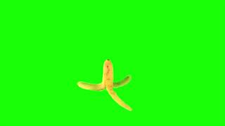 Rotating Banana Green Screen