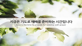 [두란노교회 방화예배당 ]25-7-14-월-새벽기도회 (눅 3:7~14)