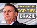 Virus follows cCommunist China ties: Brazil | NTD News