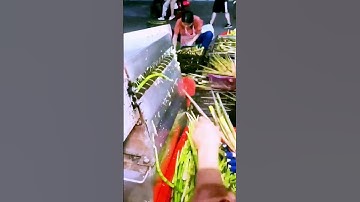 The process of shelling bamboo shoots - good machinery can improve the efficiency of doing things
