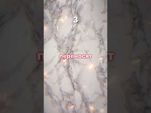 ФАКТЫ О ЕДЕ КОТОРЫЕ ВЗОРВУТ ТВОЙ МОЗГ 4 #еда #факты #facts #питание