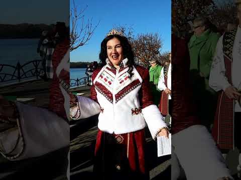 Видео превью
