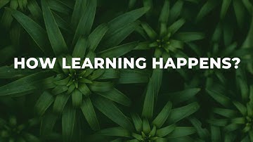 Remember More, Forget Less: The Primacy and Recency Effect Explained