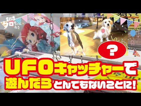 UFOキャッチャーで遊んだらこうなりました！【UFOキャッチャー】【イタグレ】　This is what happens when you play with UFO catchers！