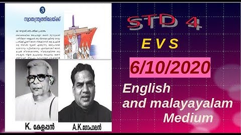 VICTERS channel std 4 EVS online class activities