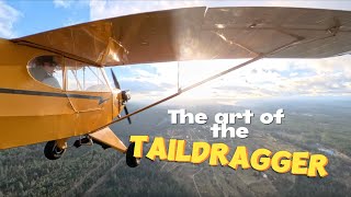 Landings and Takeoffs in a J3 Cub