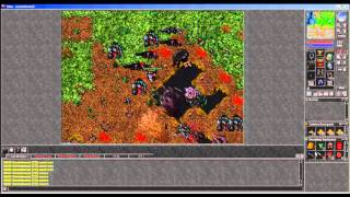 Celebrity REAL TIBIA BUG (LIZARD LEATHERS) Profile