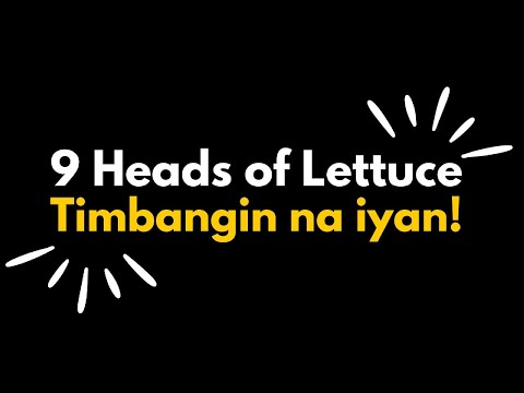 Leonard weighs 9 Heads of Lettuce. See the results!