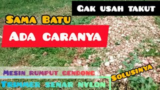 Tips dan cara potong rumput yang ada batu nya / Tips and how to cut grass with stones