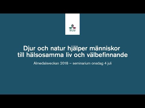 Video: Emotional Detachment: Den enkla vägen till ett bättre och hälsosamt liv