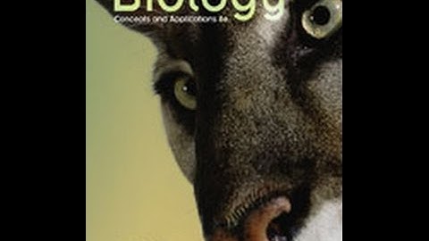 Chapter 8 Lecture Video- DNA Structure and Function