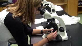 Pitt-Johnstown Biology