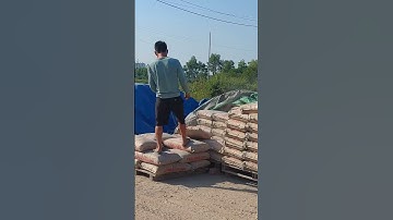 Anh công nhân bốc xi măng#shorts