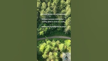 Photo vs Orthomosaic