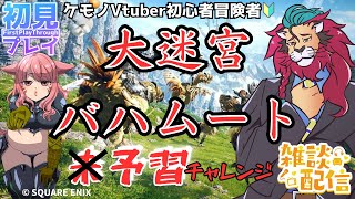 【#FF14/Garuda鯖】予習して挑む大迷宮バハムートツインタニアにリベンジ！なるか光のお父さん越え！　FF14復帰勢　ファイナルファンタジー14／#FINALFANTASYXIV　参加型配信