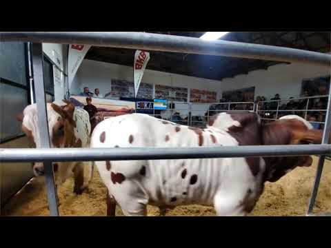 Hurwitz Farming het sopas lot 3 gekoop vir 'n massiewe R1,1 miljoen.