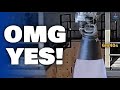 SpaceX Revealed Raptor 3’s Insane Testing for Starship V3 Ascent Burn — Massive Upgrades Are Coming
