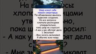 ⚡️Новая секретарша #анекдотыы #анекдоты #юмор #юморы