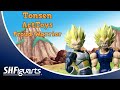 TonsenArtToys: Proud Warrior Super Saiyan Vegeta Headsculpts Review + Showcase!