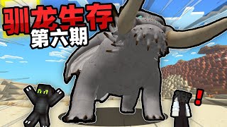 How to Train Your Dragon*6 I raised the Dragon King to full level! It's bigger than a house!