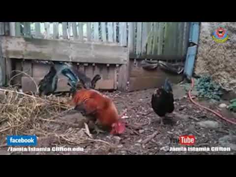 Yusuf.BHAYA. - YouTube