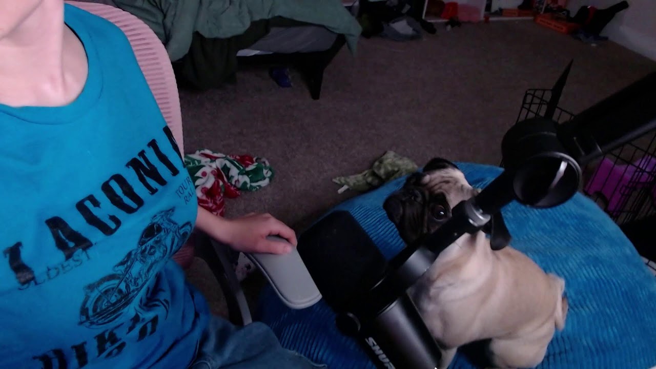 is that a shadow curse on ur forest or are u just happy to see me [BALDURS GATE 3]