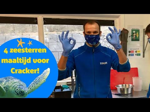 Michiel De Meyer