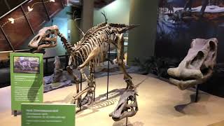 Polar DinoFest DinoBite Speaker Ron Tykoski