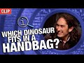 Which Dinosaur Fits In A Handbag? | QI