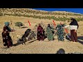 فتاة رحّالة وكلبها يهبّان لنجدة عروس هاربة! هروبٌ خاطف.