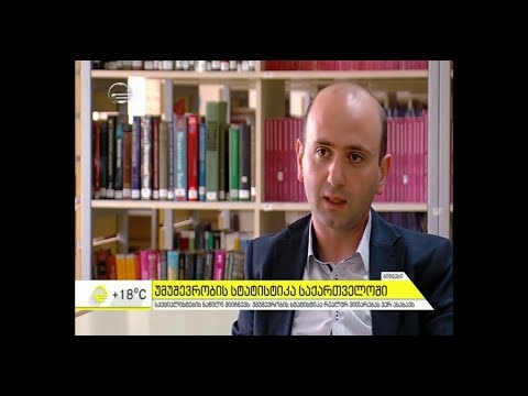 ლაშა ლაბაძე - შემცირდა თუ არა საქართველოს უმუშევრობის დონე?