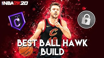 *NEW* NBA 2K20 Best BALL HAWK Build & Badges In The Game! (RARE BUILD)