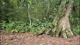 VENTA DE TERRENO EN COSTA ESTERILLOS ESTATES