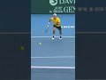 BIG CELE from James Duckworth 🇦🇺 #Tennis #DavisCup #Shorts