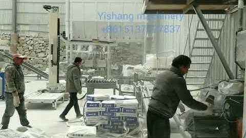 Automatic compact palletizing robot pobotic palletizer single column rotary palletizer